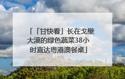 「甘快看」长在戈壁大漠的绿色蔬菜38小时直达粤港澳餐桌