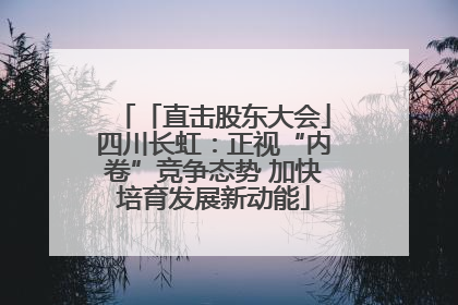 「直击股东大会」四川长虹：正视“内卷”竞争态势 加快培育发展新动能