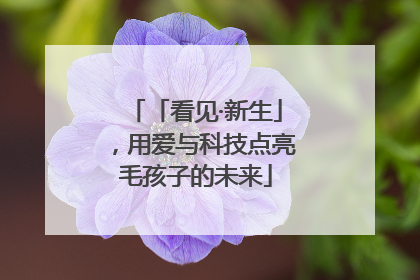 「看见·新生」，用爱与科技点亮毛孩子的未来