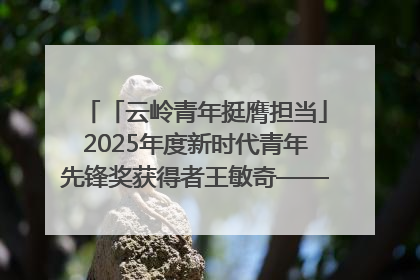 「云岭青年挺膺担当」2025年度新时代青年先锋奖获得者王敏奇——澜沧江上好渔人