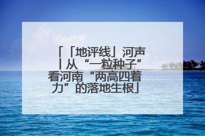 「地评线」河声丨从“一粒种子”看河南“两高四着力”的落地生根