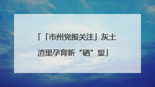 「市州党报关注」灰土渣里孕育新“硒”望