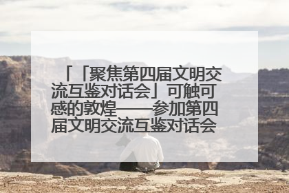 「聚焦第四届文明交流互鉴对话会」可触可感的敦煌——参加第四届文明交流互鉴对话会的外宾参观上元市集