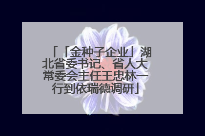 「金种子企业」湖北省委书记、省人大常委会主任王忠林一行到依瑞德调研