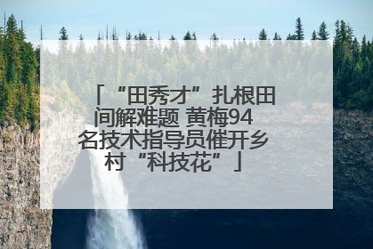 “田秀才”扎根田间解难题 黄梅94名技术指导员催开乡村“科技花”