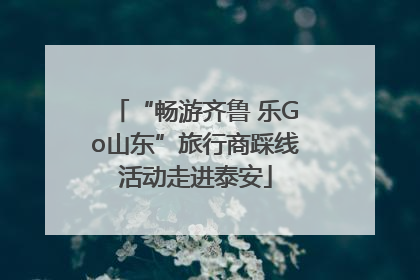 “畅游齐鲁 乐Go山东”旅行商踩线活动走进泰安