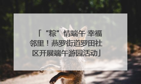 “粽”情端午 幸福邻里！燕罗街道罗田社区开展端午游园活动