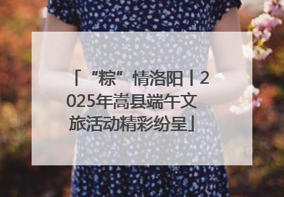 “粽”情洛阳丨2025年嵩县端午文旅活动精彩纷呈