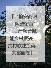 “粮安商河・陶梨留香”：三产融合赋能乡村振兴 跨村联建绘就共富画卷