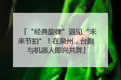 “经典旋律”遇见“未来节拍”！在泉州，台胞与机器人即兴共舞