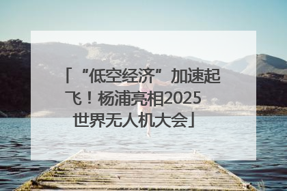 “低空经济”加速起飞！杨浦亮相2025世界无人机大会