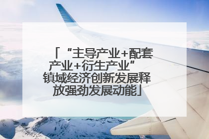 “主导产业+配套产业+衍生产业” 镇域经济创新发展释放强劲发展动能