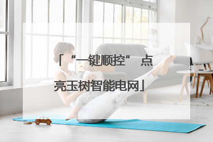 “一键顺控” 点亮玉树智能电网
