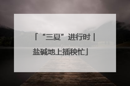 “三夏”进行时｜盐碱地上插秧忙