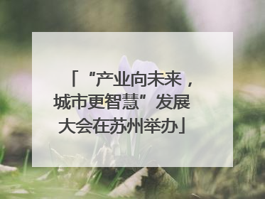 “产业向未来，城市更智慧”发展大会在苏州举办