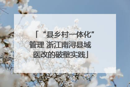 “县乡村一体化”管理 浙江南浔县域医改的破壁实践