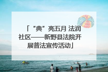 “典”亮五月 法润社区——新野县法院开展普法宣传活动