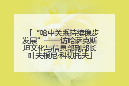 “哈中关系持续稳步发展”——访哈萨克斯坦文化与信息部副部长叶夫根尼·科切托夫