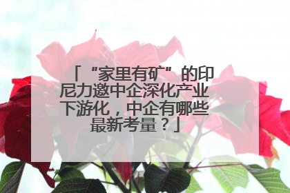 “家里有矿”的印尼力邀中企深化产业下游化，中企有哪些最新考量？