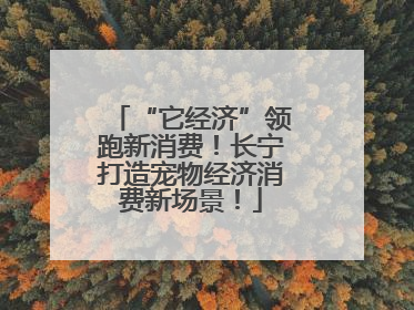 “它经济”领跑新消费！长宁打造宠物经济消费新场景！