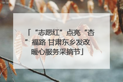 “志愿红”点亮“杏”福路 甘肃东乡发改暖心服务采摘节