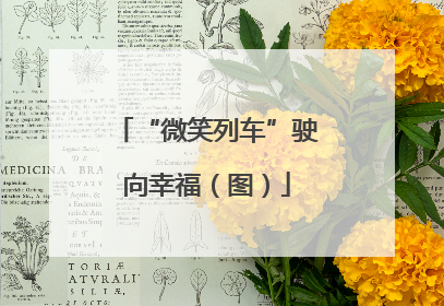 “微笑列车”驶向幸福（图）