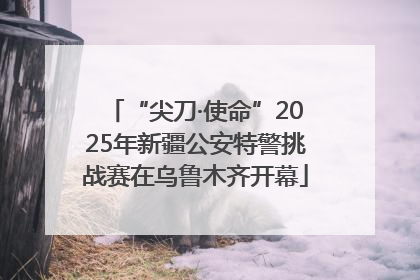 “尖刀·使命”2025年新疆公安特警挑战赛在乌鲁木齐开幕