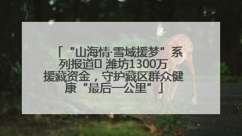 “山海情·雪域援梦”系列报道⑪ 潍坊1300万援藏资金，守护藏区群众健康“最后一公里”