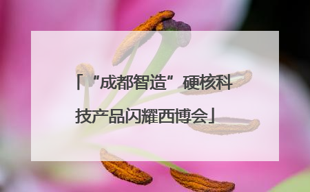 “成都智造”硬核科技产品闪耀西博会