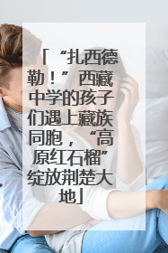 “扎西德勒！”西藏中学的孩子们遇上藏族同胞，“高原红石榴”绽放荆楚大地
