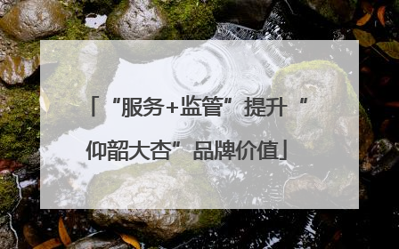 “服务+监管”提升“仰韶大杏”品牌价值