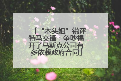 “木头姐”锐评特马交锋：争吵揭开了马斯克公司有多依赖政府合同