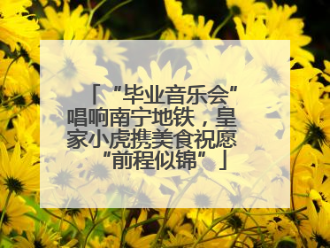 “毕业音乐会”唱响南宁地铁，皇家小虎携美食祝愿“前程似锦”