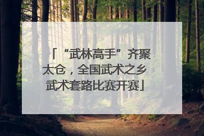 “武林高手”齐聚太仓，全国武术之乡武术套路比赛开赛