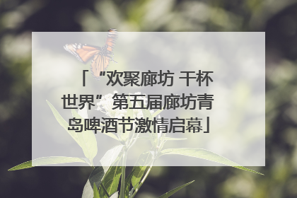 “欢聚廊坊 干杯世界”第五届廊坊青岛啤酒节激情启幕