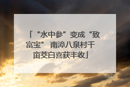 “水中参”变成“致富宝” 南漳八泉村千亩茭白喜获丰收