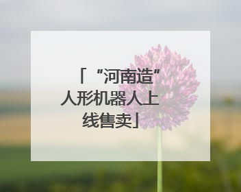 “河南造”人形机器人上线售卖