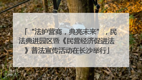 “法护营商，典亮未来”，民法典进园区暨《民营经济促进法》普法宣传活动在长沙举行