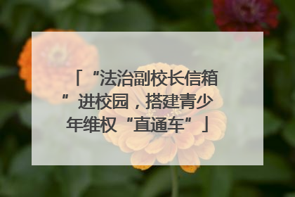“法治副校长信箱”进校园,搭建青少年维权“直通车”