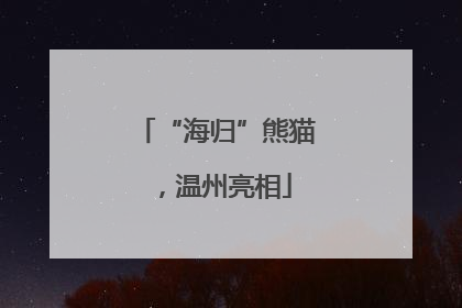 “海归”熊猫，温州亮相