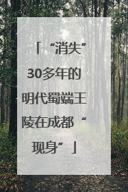 “消失”30多年的明代蜀端王陵在成都“现身”