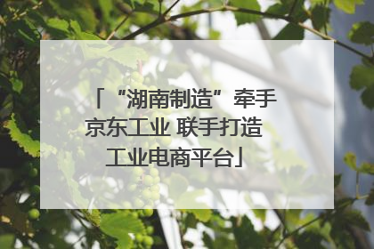 “湖南制造”牵手京东工业 联手打造工业电商平台
