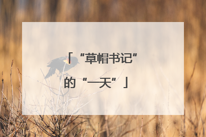 “草帽书记”的“一天”