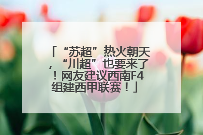“苏超”热火朝天，“川超”也要来了！网友建议西南F4组建西甲联赛！