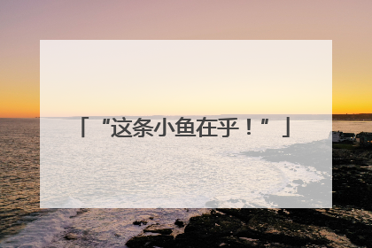 “这条小鱼在乎！”