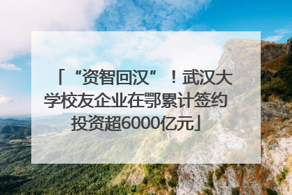 “资智回汉”！武汉大学校友企业在鄂累计签约投资超6000亿元