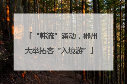 “韩流”涌动，郴州大举拓客“入境游”