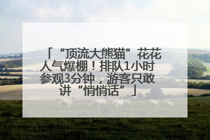 “顶流大熊猫”花花人气爆棚！排队1小时参观3分钟，游客只敢讲“悄悄话”
