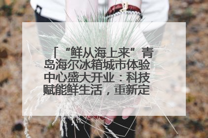 “鲜从海上来”青岛海尔冰箱城市体验中心盛大开业：科技赋能鲜生活，重新定义全球饮食未来