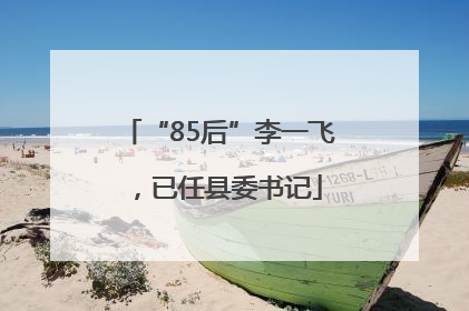 “85后”李一飞，已任县委书记